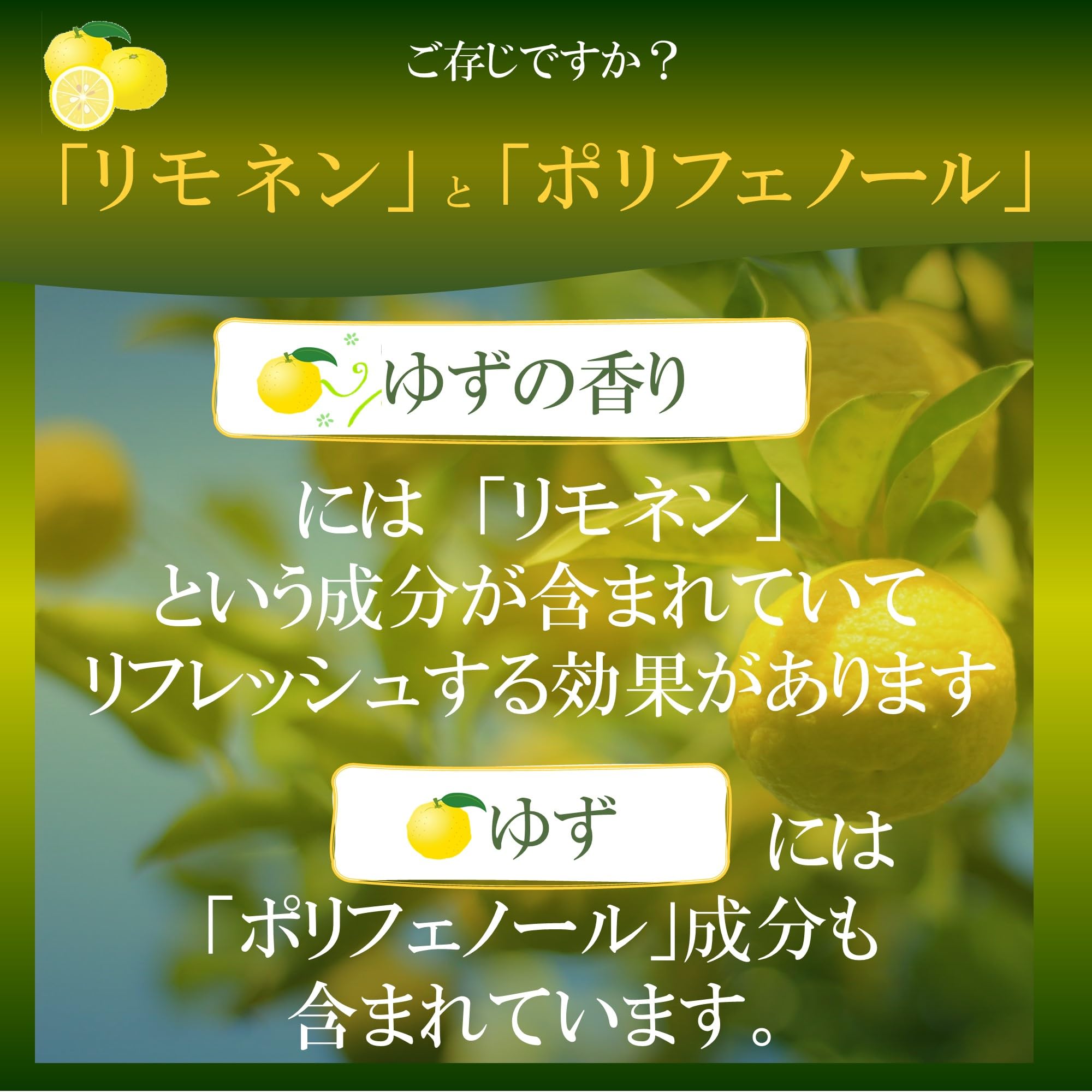 紫絵さま専用 本ゆず、せとか、璃の香 ゆずこと 東7A32b (@yuzu_koto_waka) / Posts / X